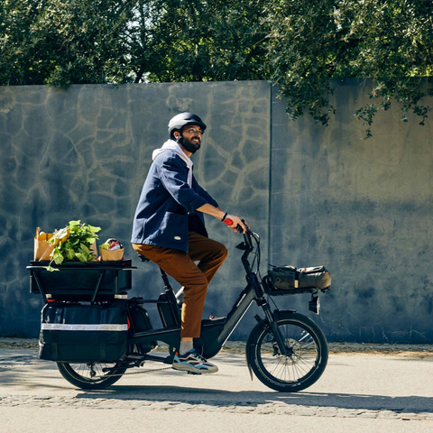 Cannondale Cargowagen Neo SGE